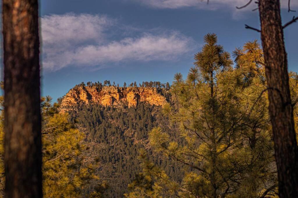 Forest Cabin 2 Birds Nest Payson Exterior foto